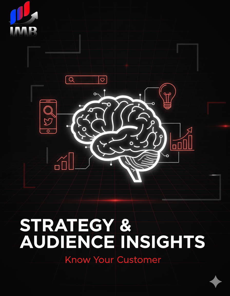 strategy audience insights with imb
